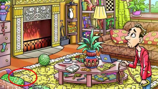 «اختبر عقلك».. هل يمكنك العثور علي مكان اختباء الكلب بـ11 ثانية